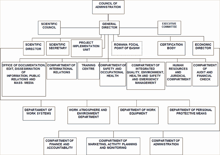 dior organizational structure